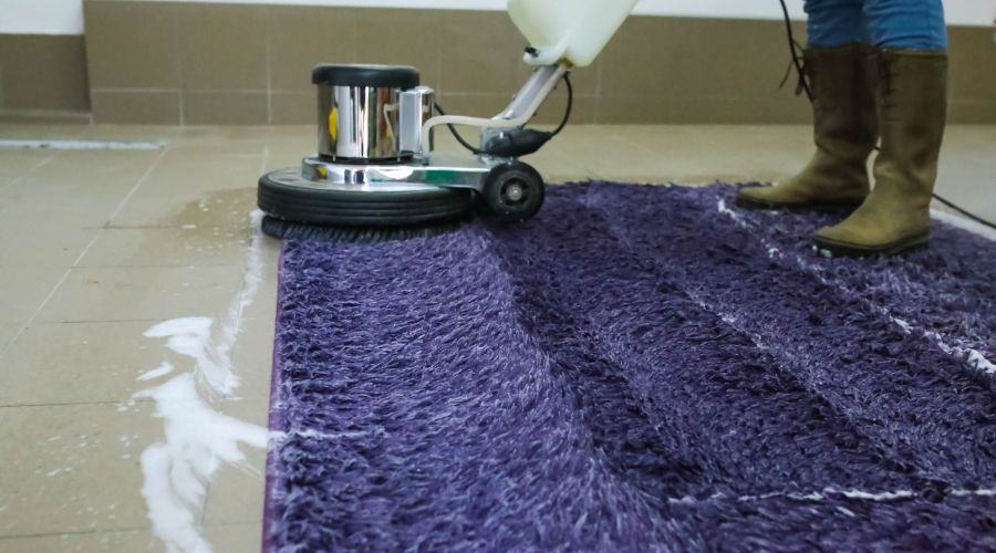 Carpet Cleaning